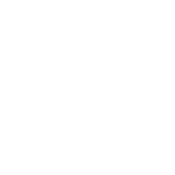 Crypto Icon