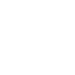 E-Commerce Icon