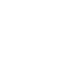 NBFC Icon